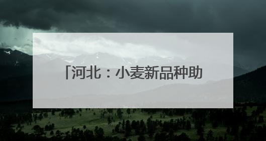 河北：小麦新品种助力农业高质量发展