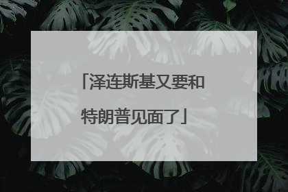 泽连斯基又要和特朗普见面了