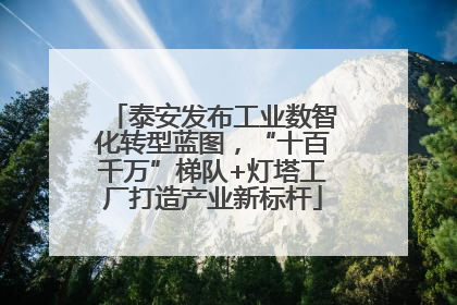 泰安发布工业数智化转型蓝图，“十百千万”梯队+灯塔工厂打造产业新标杆