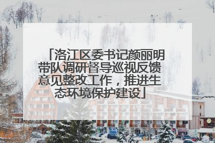 洛江区委书记颜丽明带队调研督导巡视反馈意见整改工作，推进生态环境保护建设