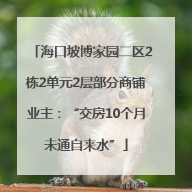 海口坡博家园二区2栋2单元2层部分商铺业主：“交房10个月未通自来水”