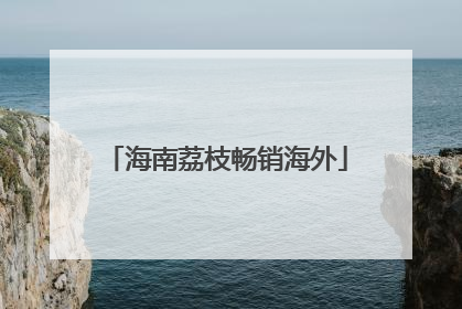 海南荔枝畅销海外