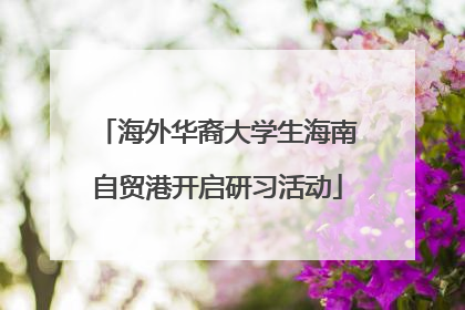 海外华裔大学生海南自贸港开启研习活动