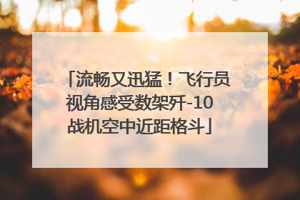 流畅又迅猛！飞行员视角感受数架歼-10战机空中近距格斗