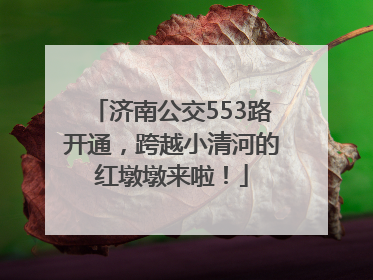 济南公交553路开通，跨越小清河的红墩墩来啦！