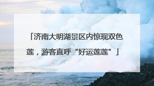 济南大明湖景区内惊现双色莲，游客直呼“好运莲莲”