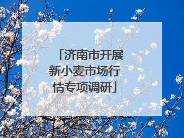 济南市开展新小麦市场行情专项调研