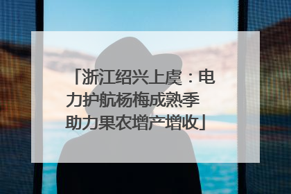 浙江绍兴上虞：电力护航杨梅成熟季 助力果农增产增收