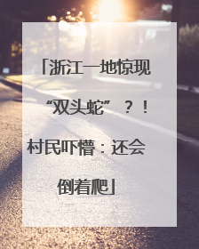 浙江一地惊现“双头蛇”？！村民吓懵：还会倒着爬