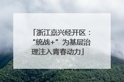 浙江嘉兴经开区：“统战+”为基层治理注入青春动力