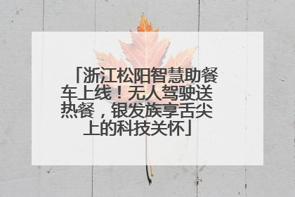 浙江松阳智慧助餐车上线！无人驾驶送热餐，银发族享舌尖上的科技关怀