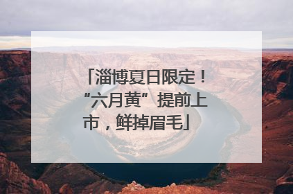 淄博夏日限定！“六月黄”提前上市，鲜掉眉毛