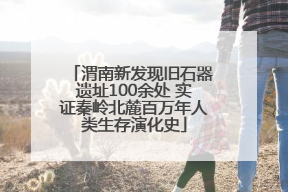 渭南新发现旧石器遗址100余处 实证秦岭北麓百万年人类生存演化史