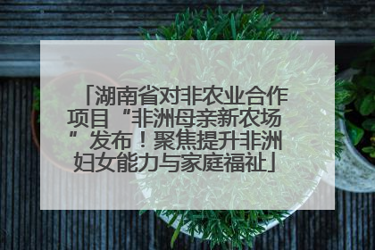 湖南省对非农业合作项目“非洲母亲新农场”发布！聚焦提升非洲妇女能力与家庭福祉