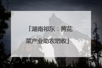 湖南祁东：黄花菜产业助农增收