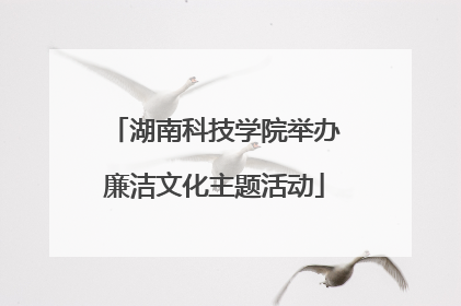 湖南科技学院举办廉洁文化主题活动