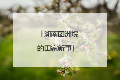 湖南团洲垸的田家新事