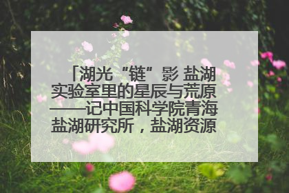 湖光“链”影 盐湖实验室里的星辰与荒原——记中国科学院青海盐湖研究所，盐湖资源化学实验室党总支书记、副主任刘忠