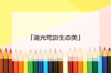 湖光鹭影生态美