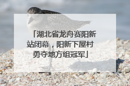 湖北省龙舟赛阳新站闭幕，阳新下屋村勇夺地方组冠军