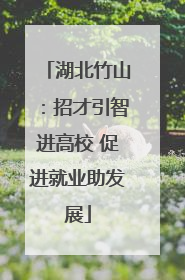 湖北竹山：招才引智进高校 促进就业助发展