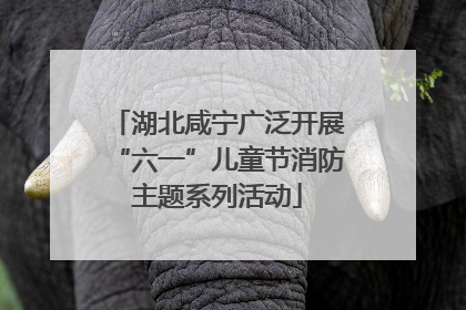 湖北咸宁广泛开展“六一”儿童节消防主题系列活动