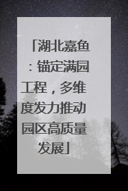 湖北嘉鱼：锚定满园工程，多维度发力推动园区高质量发展