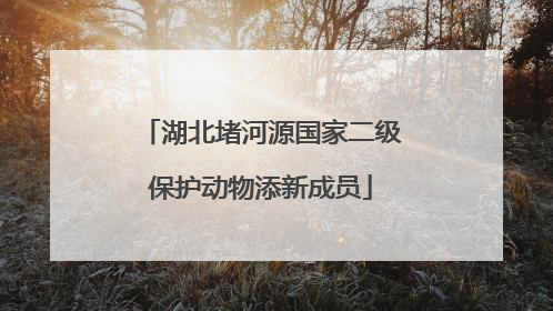 湖北堵河源国家二级保护动物添新成员
