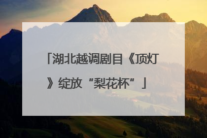 湖北越调剧目《顶灯》绽放“梨花杯”