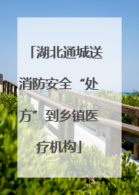 湖北通城送消防安全“处方”到乡镇医疗机构
