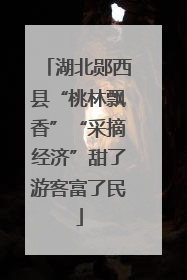 湖北郧西县“桃林飘香”“采摘经济”甜了游客富了民