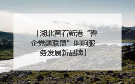 湖北黄石新港“警企党建联盟”叫响服务发展新品牌