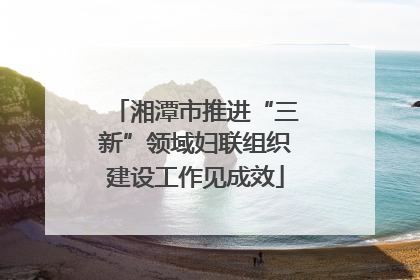 湘潭市推进“三新”领域妇联组织建设工作见成效