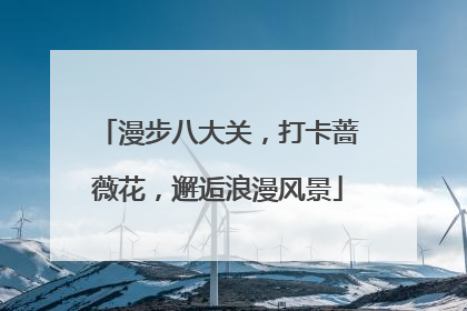 漫步八大关，打卡蔷薇花，邂逅浪漫风景