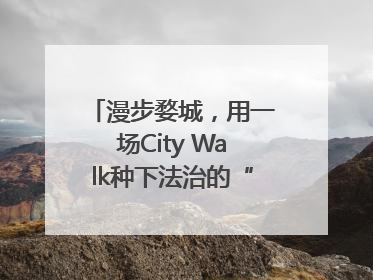 漫步婺城，用一场City Walk种下法治的“童心锚点”