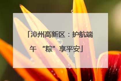 漳州高新区：护航端午 “粽”享平安