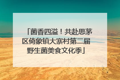 菌香四溢！共赴思茅区倚象镇大寨村第二届野生菌美食文化季