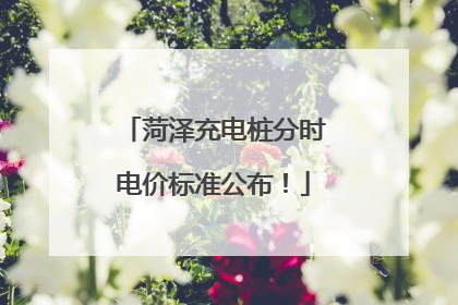 菏泽充电桩分时电价标准公布！