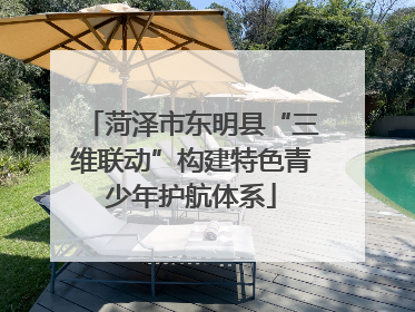 菏泽市东明县“三维联动”构建特色青少年护航体系