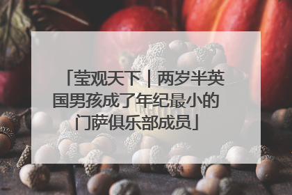 莹观天下｜两岁半英国男孩成了年纪最小的门萨俱乐部成员