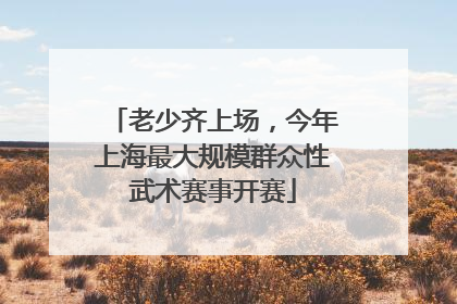老少齐上场，今年上海最大规模群众性武术赛事开赛