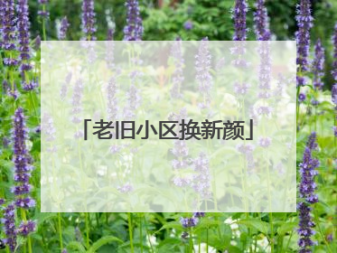 老旧小区换新颜