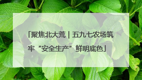 聚焦北大荒｜五九七农场筑牢“安全生产”鲜明底色