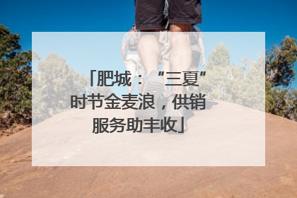 肥城：“三夏”时节金麦浪，供销服务助丰收
