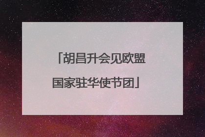 胡昌升会见欧盟国家驻华使节团