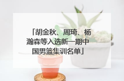 胡金秋、周琦、杨瀚森等入选新一期中国男篮集训名单
