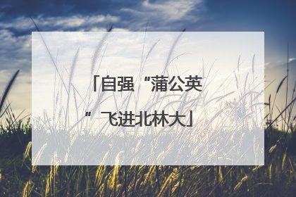 自强“蒲公英”飞进北林大