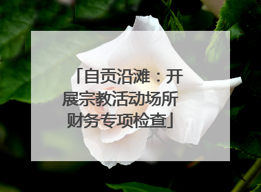 自贡沿滩：开展宗教活动场所财务专项检查