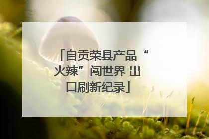 自贡荣县产品“火辣”闯世界 出口刷新纪录