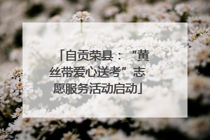 自贡荣县：“黄丝带爱心送考”志愿服务活动启动